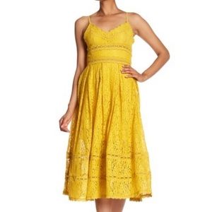 NSR Mustard Lace Midi Dress